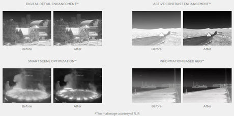  DJI Zenmuse XT Before and after images of digital detail enhancement
