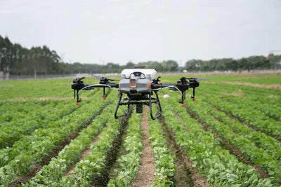 DJI Agras T10 Agricultural drone flying over a field with crops