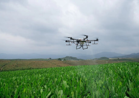Drone flying over a green field with mountains in the background